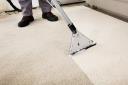 Pristine Carpet Cleaning & Home Services, LLC logo